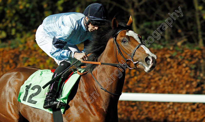 Union-0004 
 UNION (Jack Mitchell)
Kempton 27 Nov 2019 - Pic Steven Cargill / Racingfotos.com