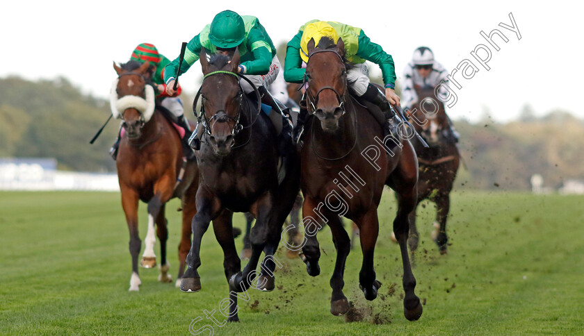 Metal-Merchant-0004 
 METAL MERCHANT (right, Rossa Ryan) beats JEFF KOONS (left) in The Racing Welfare Classified Stakes
Ascot 6 Oct 2023 - Pic Steven Cargill / Racingfotos.com