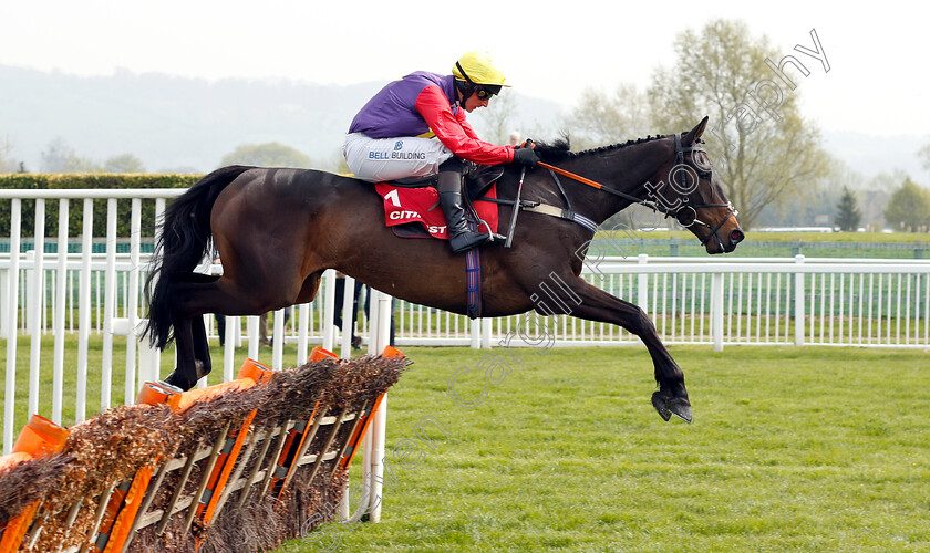 Dashel-Drasher-0004 
 DASHEL DRASHER (Matt Griffiths) wins The Citipost Novices Hurdle
Cheltenham 17 Apr 2019 - Pic Steven Cargill / Racingfotos.com