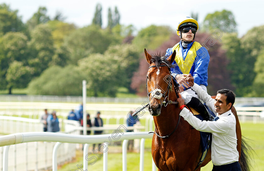 Desert-Crown-0009 
 DESERT CROWN (Richard Kingscote) after The Al Basti Equiworld Dubai Dante Stakes
York 12 May 2022 - Pic Steven Cargill / Racingfotos.com