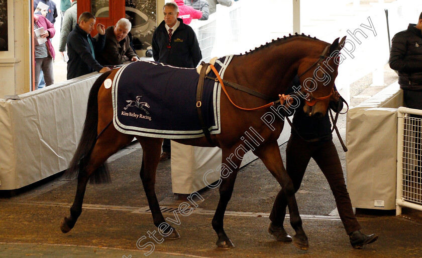 Lot-0162-Champion-Chase-£8000-0001 
 Lot 162 CHAMPION CHASE selling for £8000 at Tattersalls Ireland Ascot November Sale 9 Nov 2017 - Pic Steven Cargill / Racinfotos.com