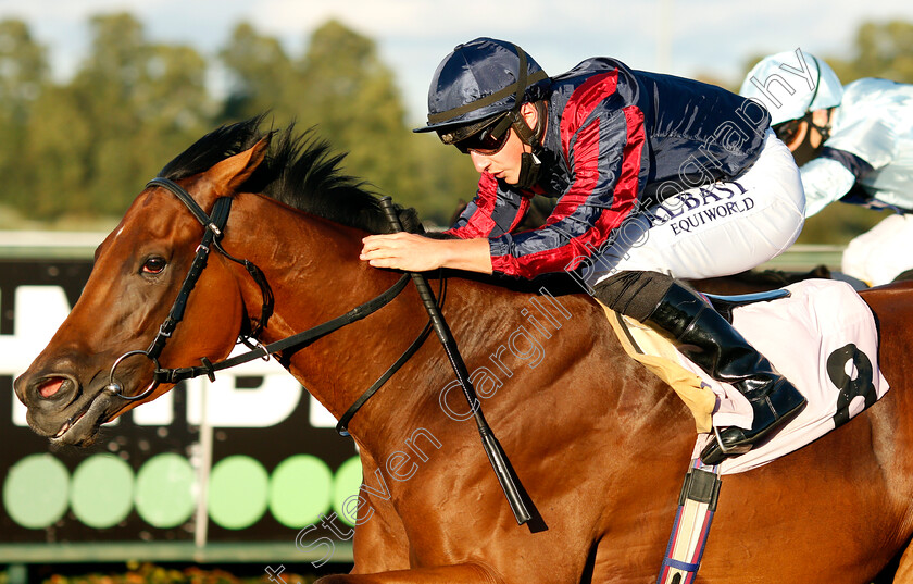 Turn-On-The-Charm-0004 
 TURN ON THE CHARM (Tom Marquand) wins The Unibet 3 Uniboosts A Day Handicap
Kempton 18 Aug 2020 - Pic Steven Cargill / Racingfotos.com