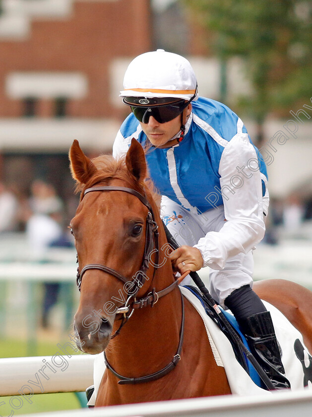 Sitoi-0001 
 SITOI (Maxime Guyon)
Deauville 12 Aug 2023 - Pic Steven Cargill / Racingfotos.com