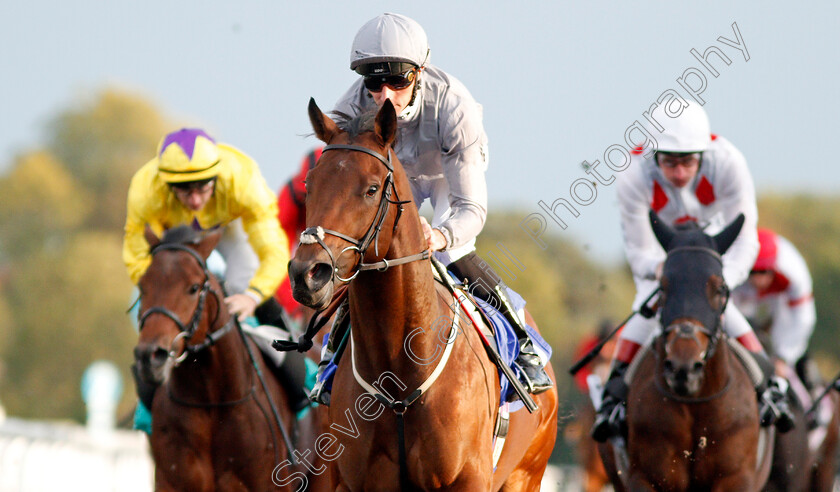 Higher-Kingdom-0007 
 HIGHER KINGDOM (Daniel Tudhope) wins The Close Brothers British Stallion Studs EBF Novice Stakes 
Kempton 9 Oct 2019 - Pic Steven Cargill / Racingfotos.com