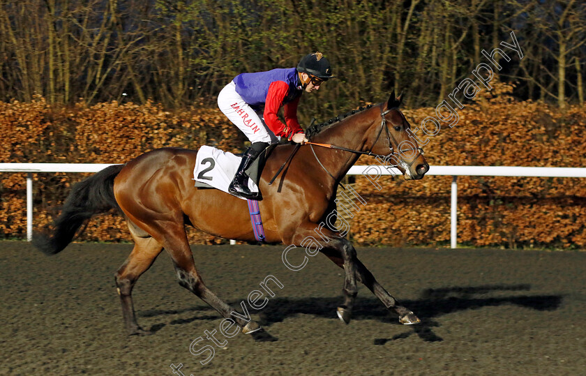 Calculate-0001 
 CALCULATE (Tom Marquand)
Kempton 14 Feb 2024 - Pic Steven Cargill / Racingfotos.com