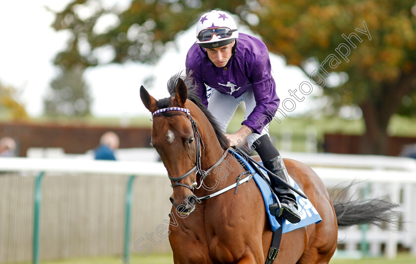 Crsipy-Cat-0001 
 CRISPY CAT (Ryan Moore)
Newmarket 7 Oct 2022 - Pic Steven Cargill / Racingfotos.com