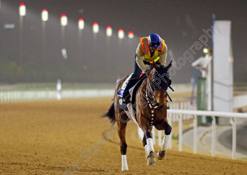 Two-Rivers-Over-0001 
 TWO RIVERS OVER training for The Godolphin Mile
Meydan Dubai 26 Mar 2024 - Pic Steven Cargill / Racingfotos.com