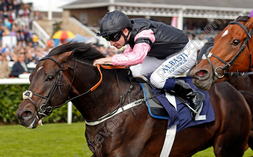 Aclaim-0003 
 ACLAIM (Oisin Murphy) wins The Alan Wood Plumbing And Heating Park Stakes Doncaster 16 Sep 2017 - Pic Steven Cargill / Racingfotos.com