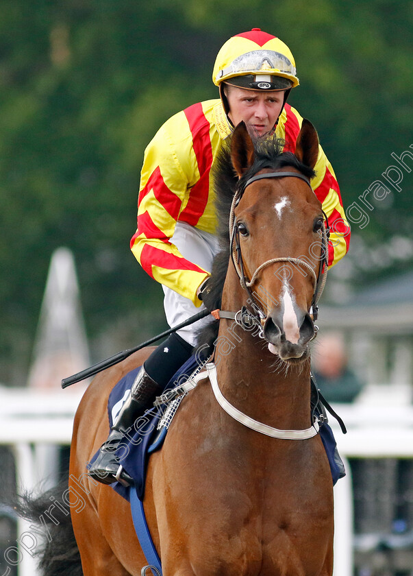 Fernando-Rah-0001 
 FERNANDO RAH (John Fahy)
Newcastle 24 Jun 2022 - Pic Steven Cargill / Racingfotos.com