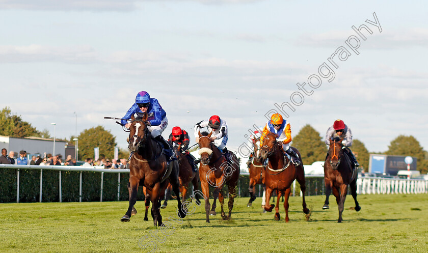 Shout-0004 
 SHOUT (Robert Havlin) wins The Believe Money Confined Nursery
Doncaster 13 Sep 2024 - Pic Steven Cargill / Racingfotos.com