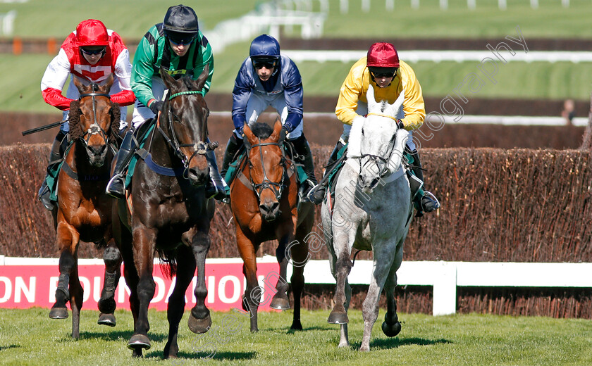 Nightline-0001 
 NIGHTLINE (Jonathan Burke) Cheltenham 18 Apr 2018 - Pic Steven Cargill / Racingfotos.com