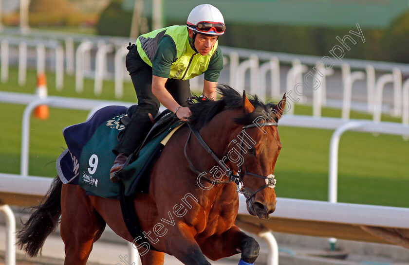 Mishriff-0006 
 MISHRIFF training for the Saudi Cup
King Abdulaziz Racetrack, Riyadh, Saudi Arabia 24 Feb 2022 - Pic Steven Cargill / Racingfotos.com