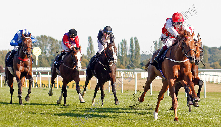 Tritonic-0004 
 TRITONIC (Oisin Murphy) wins The Haynes Hanson & Clark Conditions Stakes
Newbury 20 Sep 2019 - Pic Steven Cargill / Racingfotos.com