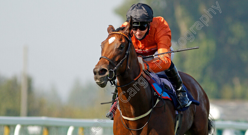 Kingmania-0005 
 KINGMANIA (Pat Cosgrave) wins The Visit attheraces.com Nursery
Yarmouth 15 Sep 2020 - Pic Steven Cargill / Racingfotos.com