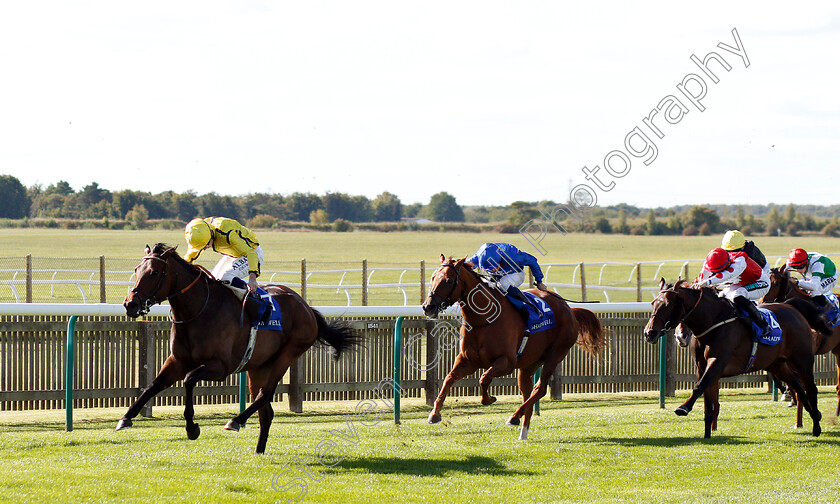 Beshaayir-0002 
 BESHAAYIR (Oisin Murphy) wins The Muhaarar British EBF Rosemary Stakes
Newmarket 28 Sep 2018 - Pic Steven Cargill / Racingfotos.com