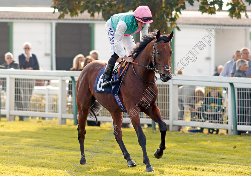 Herdwick-0001 
 HERDWICK (Ryan Moore) Yarmouth 16 Oct 2017 - Pic Steven Cargill / Racingfotos.com