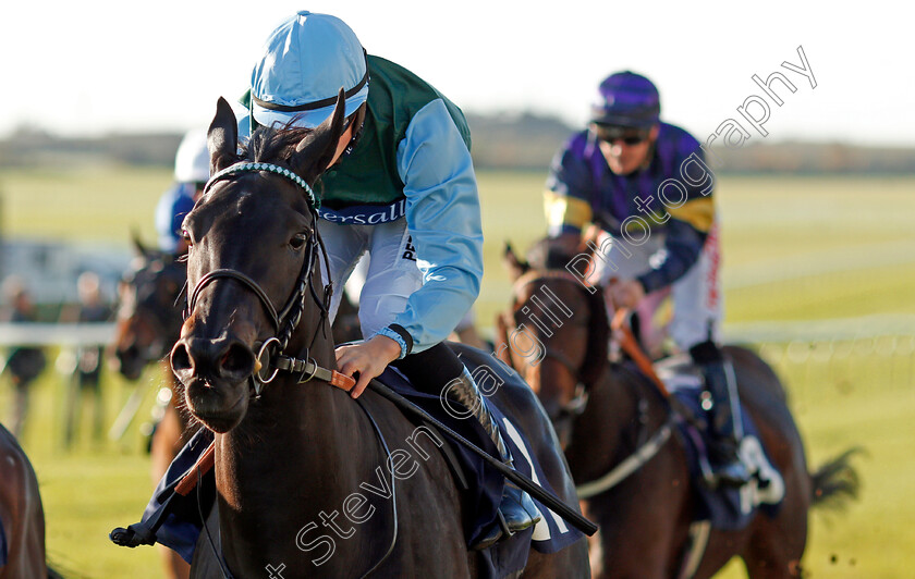 Dynamic-0004 
 DYNAMIC (Tom Marquand) wins The AR Legal Fillies Handicap Newmarket 25 Oct 2017 - Pic Steven Cargill / Racingfotos.com