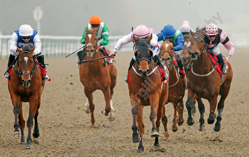 Constantino-0004 
 CONSTANTINO (2nd right, Paul Hanagan) beats HUMBERT (left) in The Play For Free At sunbets.co.uk/vegas Handicap Lingfield 3 Mar 2018 - Pic Steven Cargill / Racingfotos.com