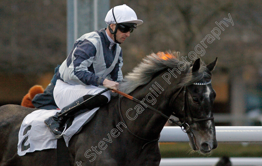 Tyrrhenian-Sea-0002 
 TYRRHENIAN SEA (Jack Mitchell)
Kempton 2 Mar 2022 - Pic Steven Cargill / Racingfotos.com