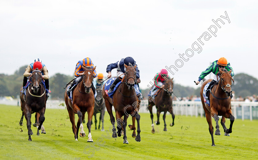 Celandine-0003 
 CELANDINE (centre, Tom Marquand) beats TIME FOR SANDALS (right) HEAVENS GATE (2nd left) LEOVANNI (left) in The Sky Bet Lowther Stakes
York 22 Aug 2024 - Pic Steven Cargill / Racingfotos.com