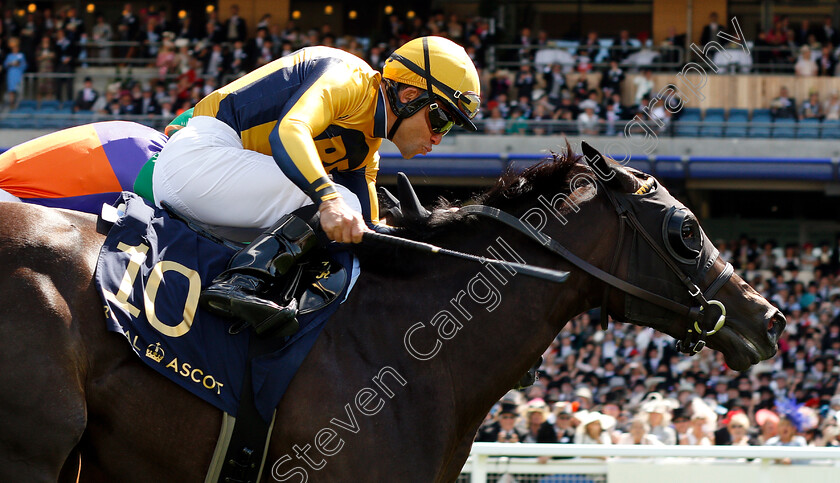 Shang-Shang-Shang-0005 
 SHANG SHANG SHANG (Joel Rosario) wins The Norfolk Stakes
Royal Ascot 21 Jun 2018 - Pic Steven Cargill / Racingfotos.com