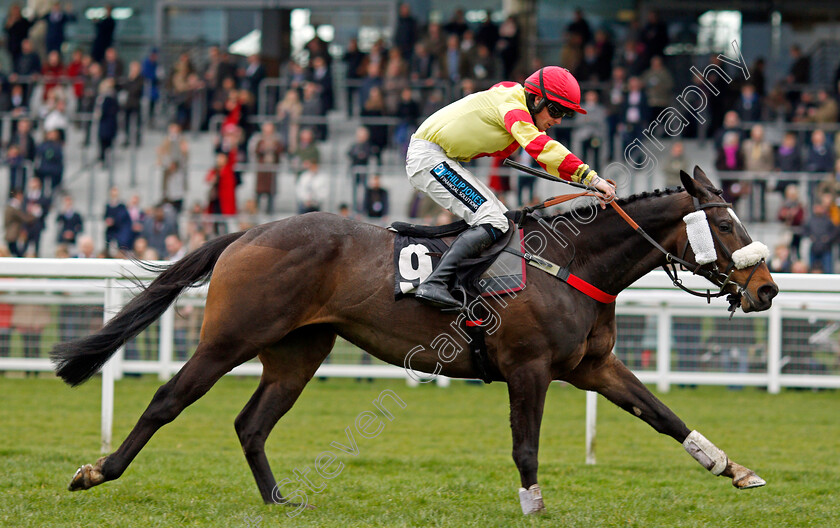 Sir-Will-0006 
 SIR WILL (Richard Patrick) wins The Iron Stand Conditional Jockeys Handicap Hurdle Ascot 25 Mar 2018 - Pic Steven Cargill / Racingfotos.com