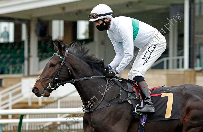 Sevenal-0002 
 SEVENAL (Robert Havlin)
Newmarket 21 Oct 2020 - Pic Steven Cargill / Racingfotos.com