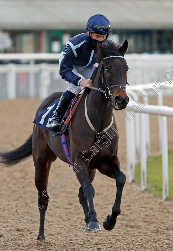 Dracostella-0001 
 DRACOSTELLA (Adam McNamara) 
Wolverhampton 12 Mar 2021 - Pic Steven Cargill / Racingfotos.com