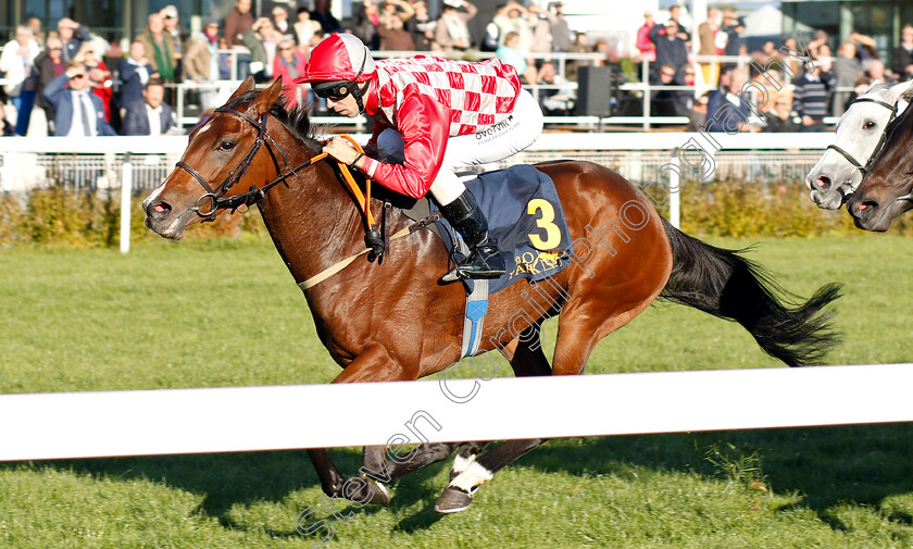 High-As-A-Kite-0002 
 HIGH AS A KITE (Rafael Schistl) wins The Lanwades Stud Stakes
Bro Park, Sweden 23 Sep 2018 - Pic Steven Cargill / Racingfotos.com