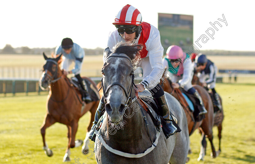 Top-Rank-0001 
 TOP RANK (P J McDonald) wins The Molson Coors Handicap
Newmarket 26 Sep 2019 - Pic Steven Cargill / Racingfotos.com