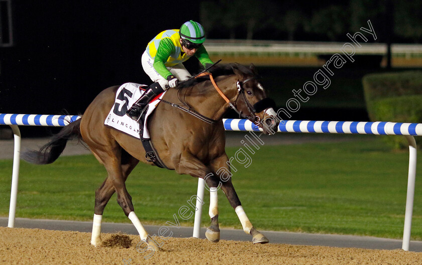 My-Dubawi-0004 
 MY DUBAWI (Tadhg O'Shea) wins The Lincoln Handicap
Meydan 2 Feb 2024 - Pic Steven Cargill / Racingfotos.com