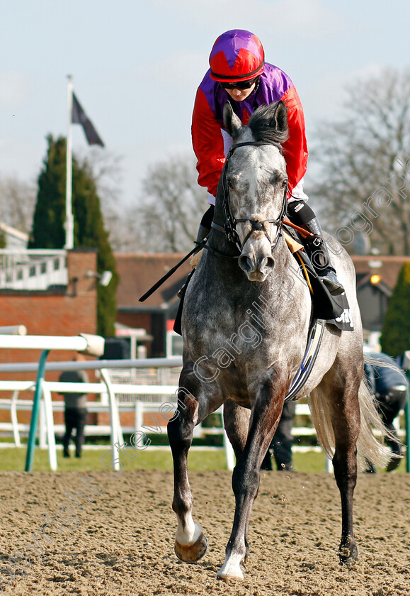 Rocket-Action-0001 
 ROCKET ACTION (Hollie Doyle)
Lingfield 27 Feb 2021 - Pic Steven Cargill / Racingfotos.com