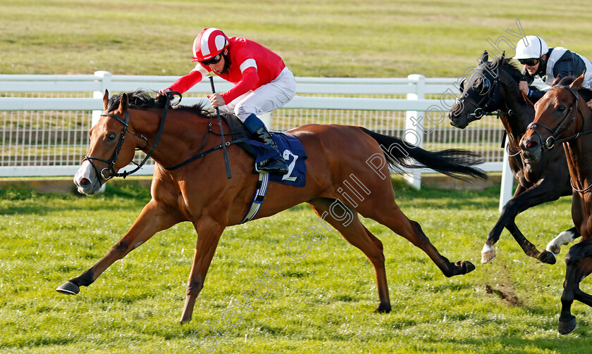 Al-Saariyah-0003 
 AL SAARIYAH (William Buick) beats VEDUTE (right) in The Ken Lindsay Memorial Nursery
Yarmouth 17 Sep 2020 - Pic Steven Cargill / Racingfotos.com