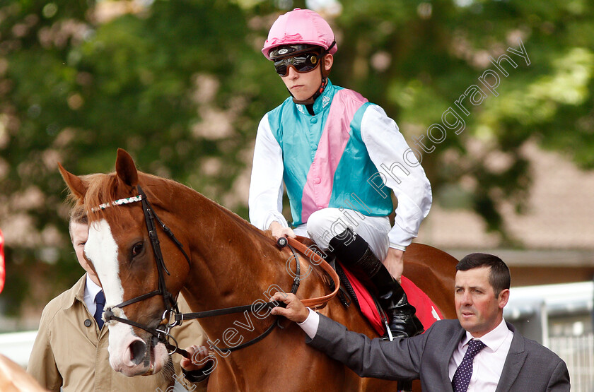 Herculean-0001 
 HERCULEAN (Jason Watson)
Sandown 14 Jun 2019 - Pic Steven Cargill / Racingfotos.com