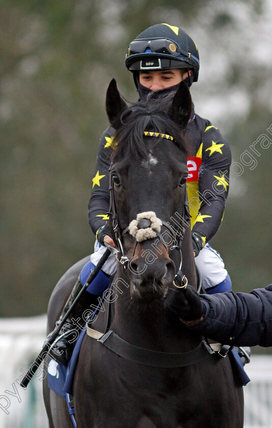 Wyvern-0002 
 WYVERN (Marco Ghiani) winner of The Mansionbet Beaten By A Head Median Auction Maiden Stakes
Lingfield 25 Jan 2022 - Pic Steven Cargill / Racingfotos.com