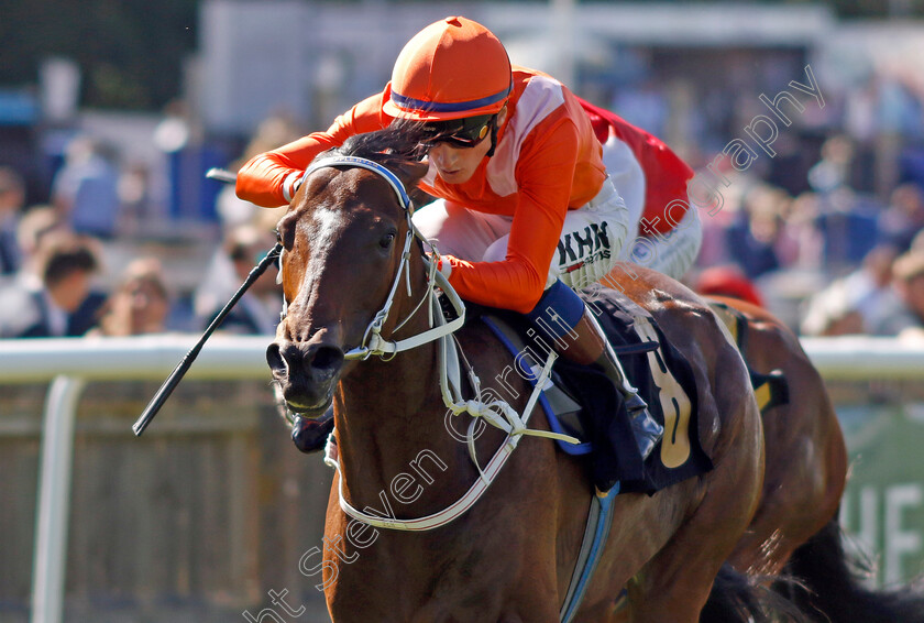 Nizaaka-0003 
 NIZAAKA (David Egan) wins The Arioneo Handicap
Newmarket 8 Jul 2022 - Pic Steven Cargill / Racingfotos.com