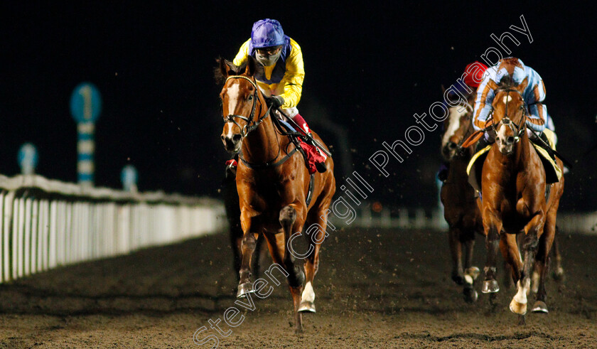 Cemhaan-0005 
 CEMHAAN (Frankie Dettori) beats NOTE BLEU (right) in The 32Red Casino Novice Stakes
Kempton 4 Mar 2020 - Pic Steven Cargill / Racingfotos.com