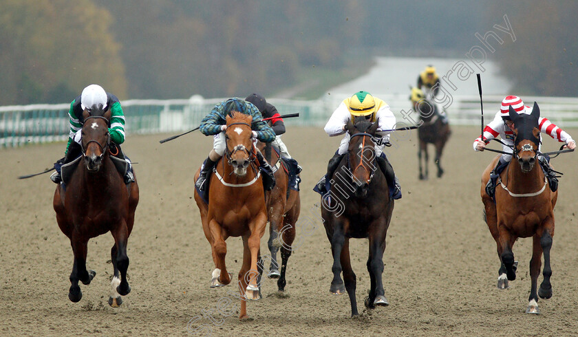 Silca-Mistress-0002 
 SILCA MISTRESS (2nd left, David Probert) beats HUMAN NATURE (2nd right) DRAKEFELL (left) and HIGHLAND ACCLAIM (right) in The Betway Sprint Handicap
Lingfield 20 Nov 2018 - Pic Steven Cargill / Racingfotos.com