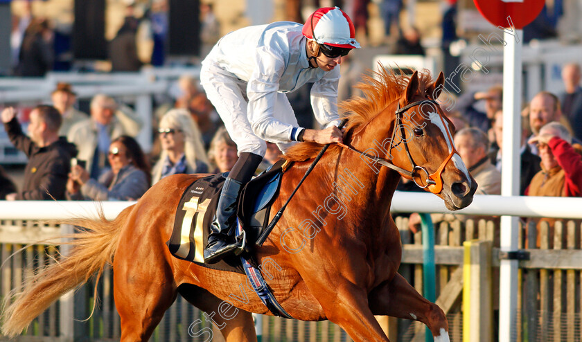 Lawful-Command-0005 
 LAWFUL COMMAND (Louis Steward) wins The Jean Bucknell A Lifetime In Racing Nursery
Newmarket 20 Oct 2021 - Pic Steven Cargill / Racingfotos.com