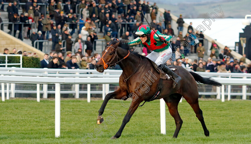 Jet-Blue-0006 
 JET BLUE (James Reveley) wins The Albert Bartlett Novices Hurdle
Cheltenham 14 Dec 2024 - Pic Steven Cargill / Racingfotos.com