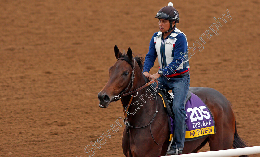 Mopostism 
 MOPOTISM exercising at Del Mar USA in preparation for The Breeders' Cup Distaff 30 Oct 2017 - Pic Steven Cargill / Racingfotos.com