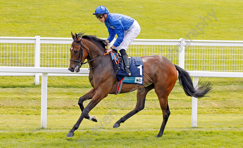 Light-Blush-0001 
 LIGHT BLUSH (James Doyle)
Sandown 25 Jul 2019 - Pic Steven Cargill / Racingfotos.com