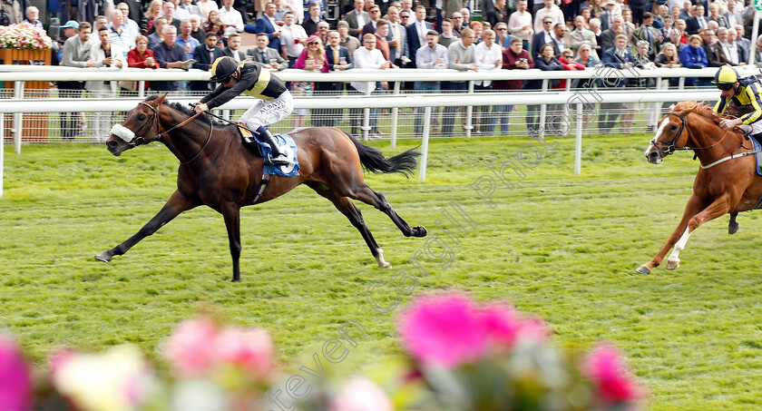 Urban-Aspect-0001 
 URBAN ASPECT (Oisin Murphy) wins The Nationwide Accident Repair Services Handicap
York 24 Aug 2018 - Pic Steven Cargill / Racingfotos.com