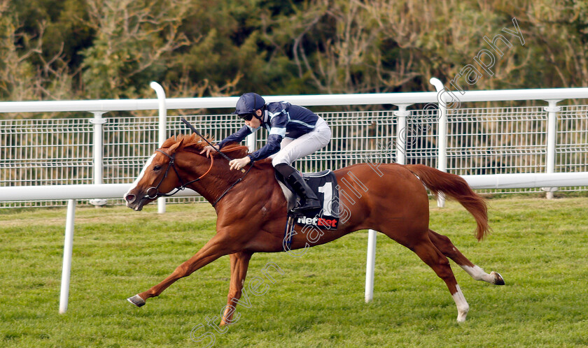 Autumn-War-0006 
 AUTUMN WAR (Callum Shepherd) wins The netbet.co.uk Novice Stakes
Goodwood 4 Sep 2018 - Pic Steven Cargill / Racingfotos.com