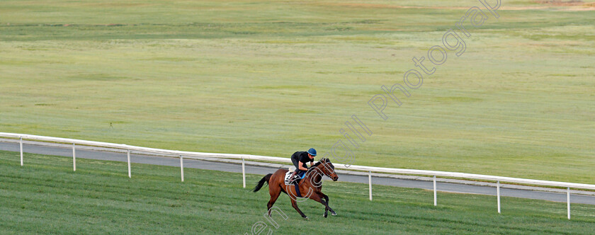 Emaraaty-Ana-0002 
 EMARAATY ANA (Andrea Atzeni) training for The Al Quoz Sprint
Meydan, Dubai, 24 Mar 2022 - Pic Steven Cargill / Racingfotos.com