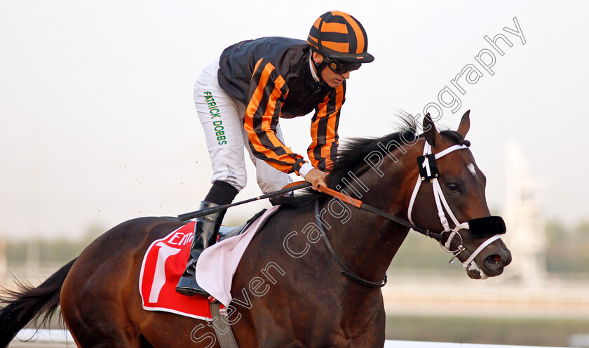 Kimbear-0007 
 KIMBEAR (Pat Dobbs) wins The Burj Nahaar Meydan Dubai 10 Mar 2018 - Pic Steven Cargill / Racingfotos.com