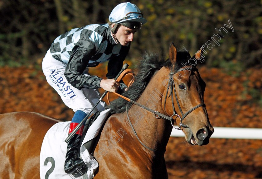 Biggles-0001 
 BIGGLES (Adam Kirby)
Kempton 27 Nov 2019 - Pic Steven Cargill / Racingfotos.com