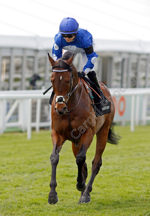 Excel-Power 
 EXCEL POWER (Hollie Doyle)
Epsom 3 Jul 2022 - Pic Steven Cargill / Racingfotos.com