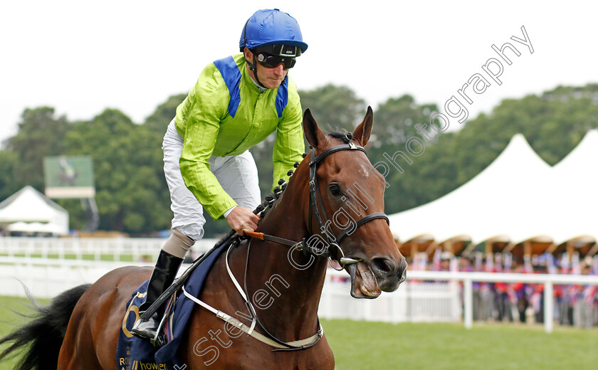 Finn s-Charm 
 FINN'S CHARM (Joe Fanning)
Royal Ascot 18 Jun 2022 - Pic Steven Cargill / Racingfotos.com