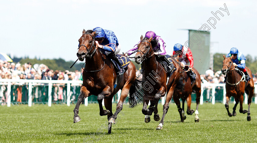 Pinatubo-0002 
 PINATUBO (James Doyle) wins The Chesham Stakes
Royal Ascot 22 Jun 2019 - Pic Steven Cargill / Racingfotos.com